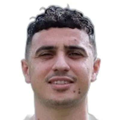 Karim Hafez