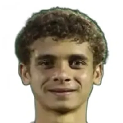 H. Abdelkarim